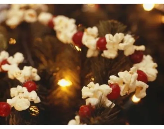 Popcorn and Cranberries Garland