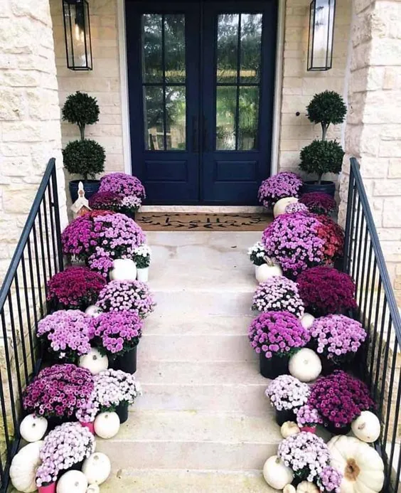 Pots of Ground Plants