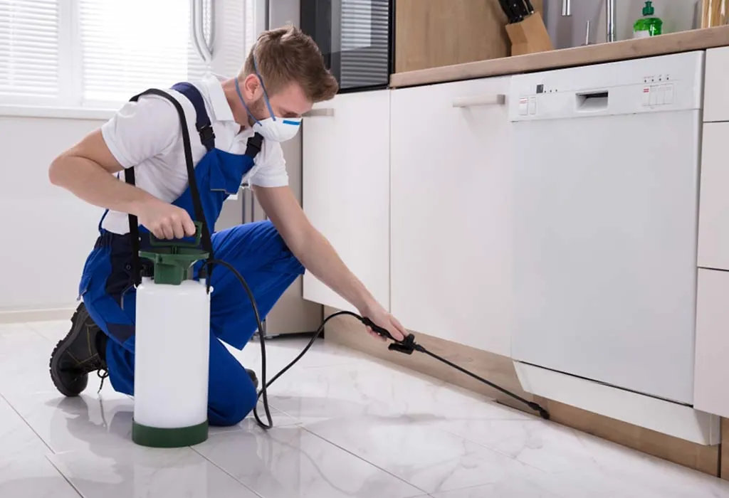 Seasonal Home Maintenance Checklist