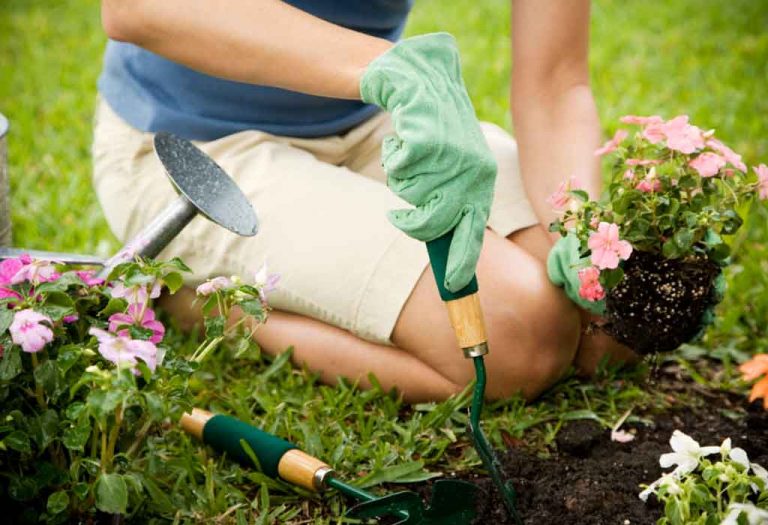 How to Start a Garden From Scratch - 10 Steps for New Gardeners