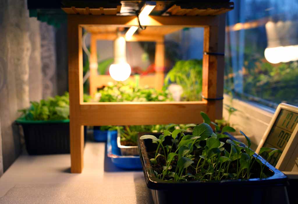 Grow lights deals for vegetables