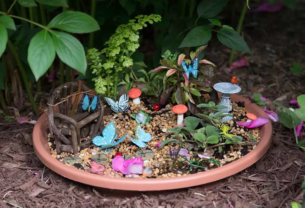 FAIRY GARDEN