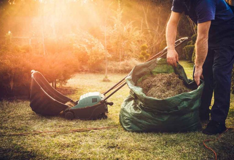 Lawn Dethatching And Tips to Keep Your Lawn Grass Healthy