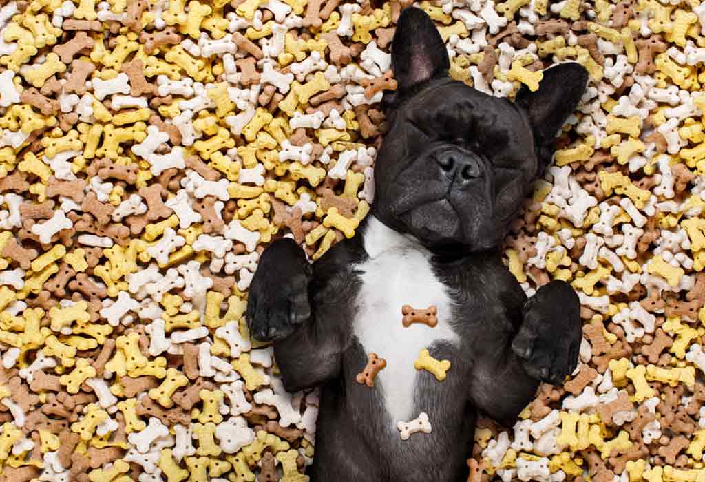 20 Delicious Homemade Dog Treat Recipes You Can Make At Home
