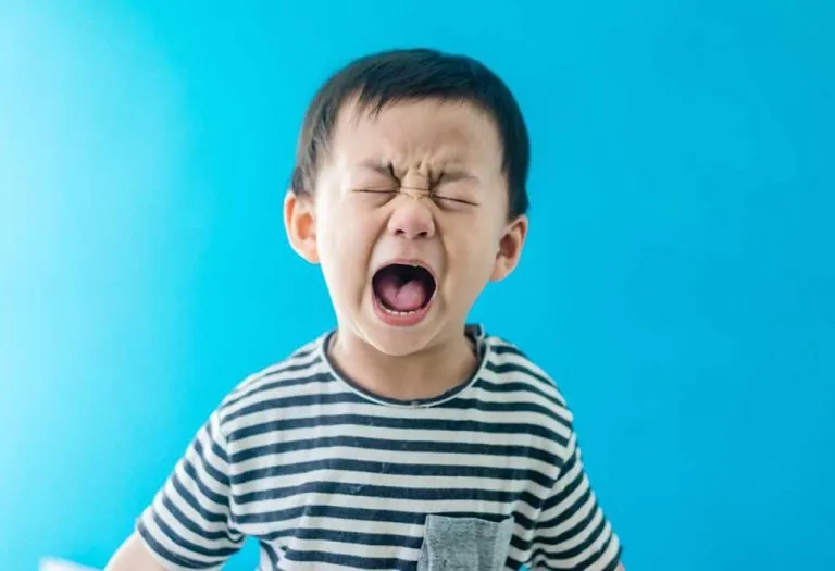 Mood Swings of Babies at 19 Months of Age and How to Handle Them