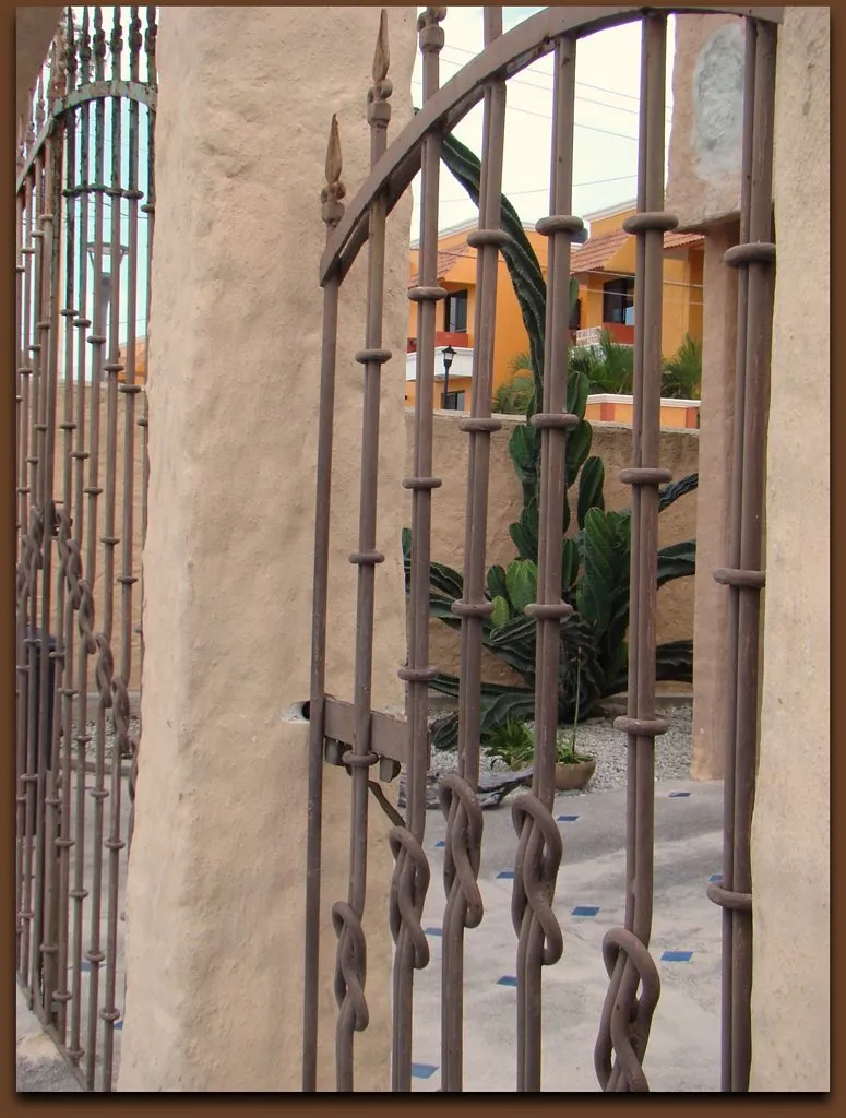 Consoling Gate for the Backyard