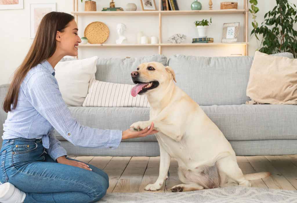 20-basic-and-essential-dog-commands-you-should-teach-your-pup