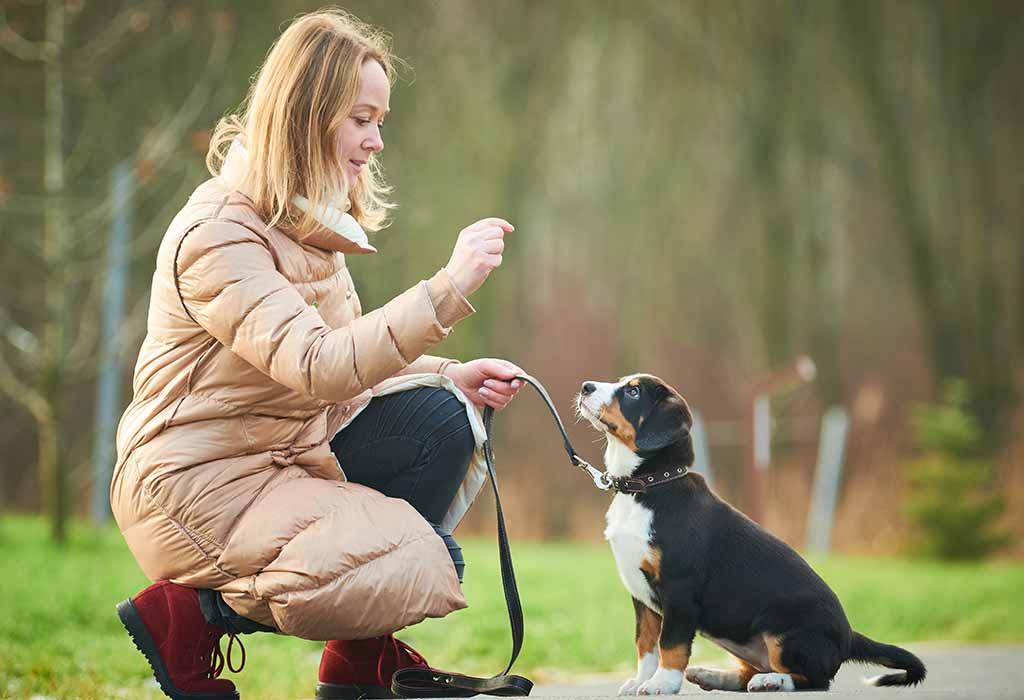 how do you teach a puppy basic commands