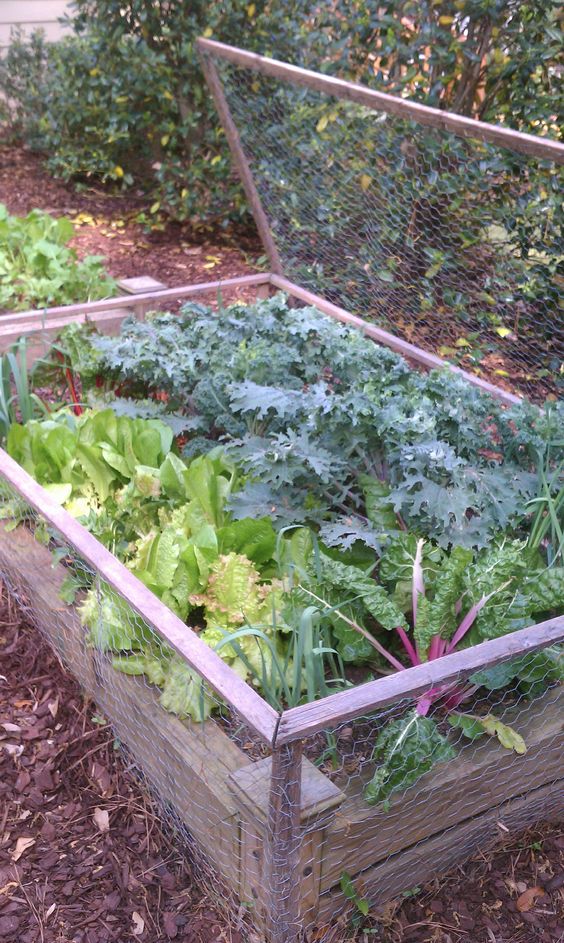 How to Make a Raised Garden Bed in Easy Steps