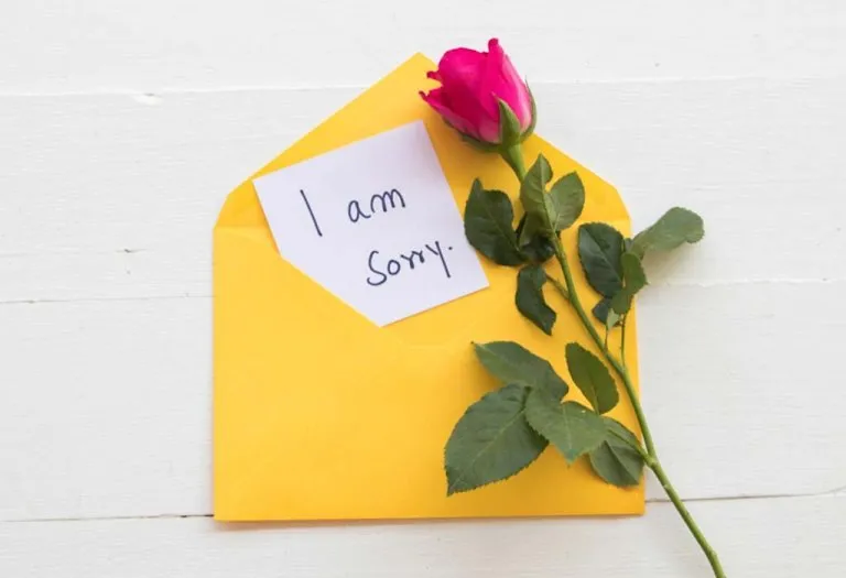 50+ Best Sorry Quotes and Messages