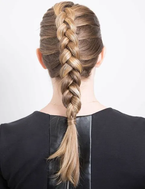 Dutch braids hairstyle for female
