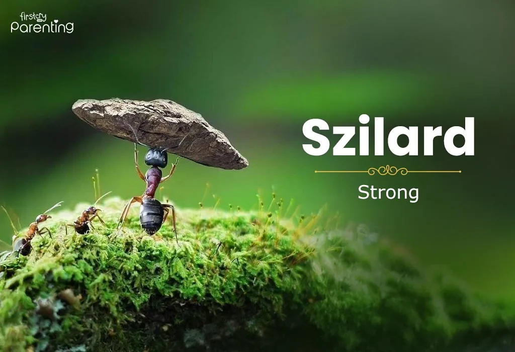 Szilard - Hungarian Names for Boys and Girls Szilard - Hungarian Names for Boys and Girls