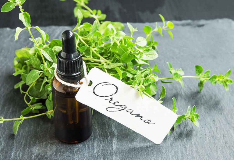 Oregano Oil - Health Benefits, Side Effects, Dosage, and More