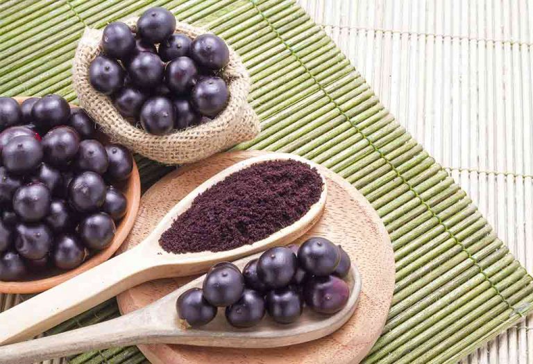 Acai Berry And Its Health Benefits