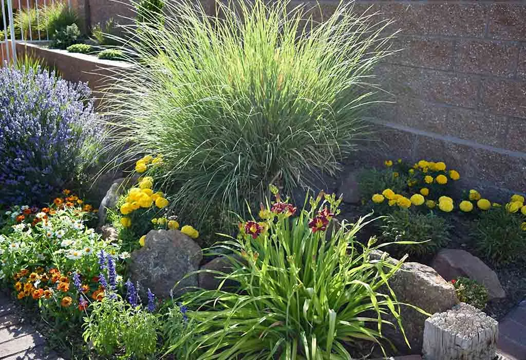 20 Best DroughtResistant Plants For Your Garden