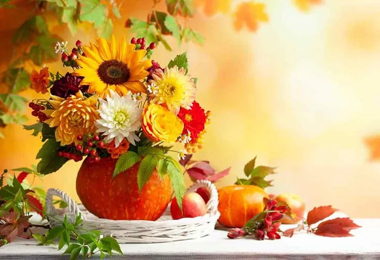 No Carve Pumpkin Decorating Ideas That Anyone Can Make