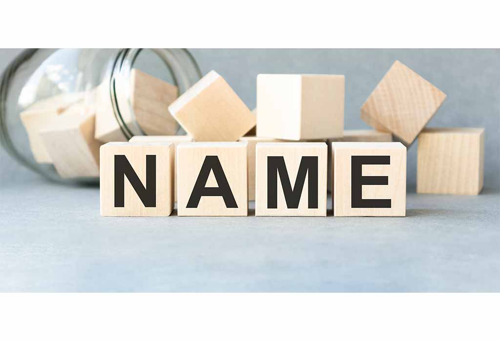 Dixit Surname Meaning In Hindi