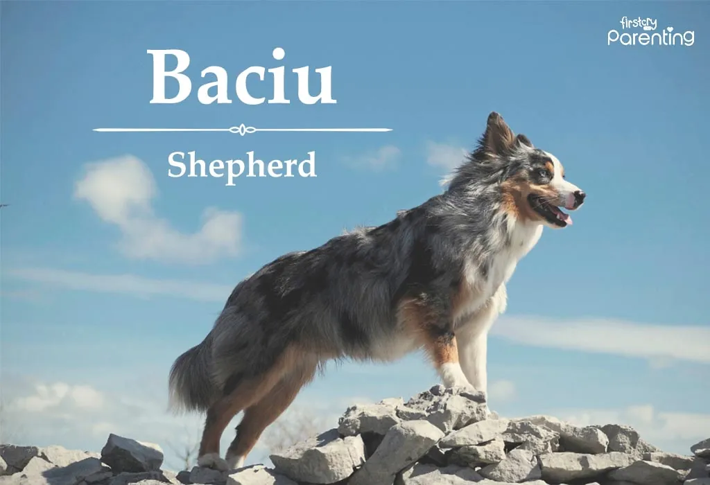 Baciu - Romanian Last Names or Surnames with Meanings