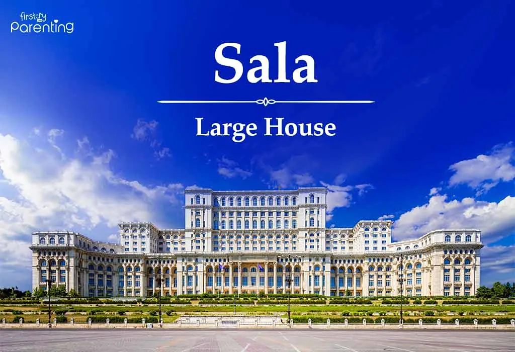 Sala - Romanian Last Names or Surnames with Meanings