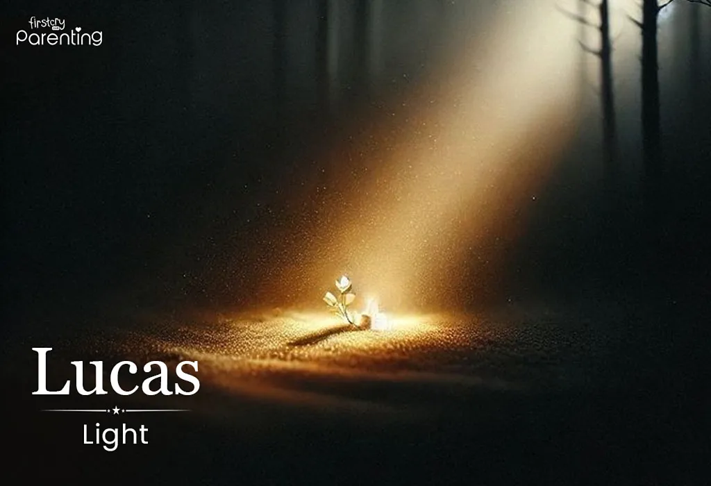 Lucas - Rich or Wealthy Last Names