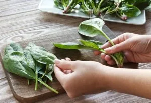 जठरासंबंधी समस्या दूर होण्यास मदत होते
