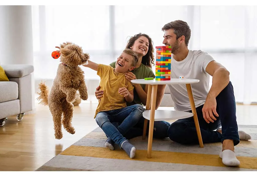 Play With Your Pet Together