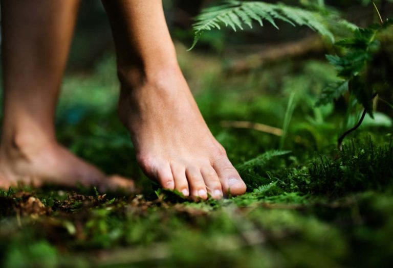 Forest Bathing - Why Do You Need to Try It?