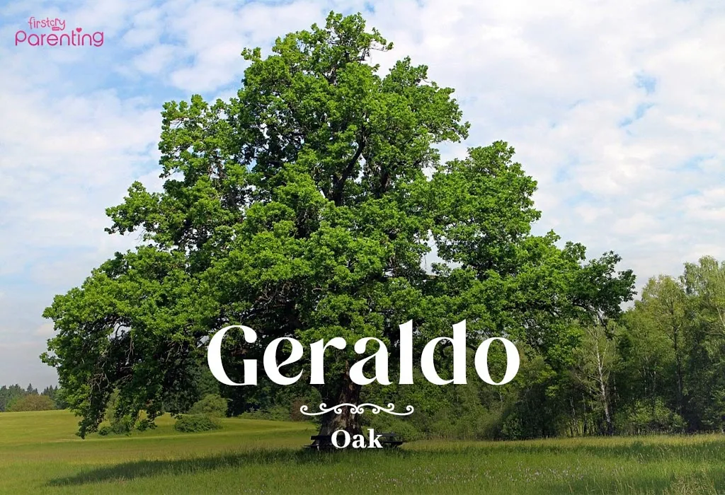 Geraldo - Brazilian Last Names or Surnames