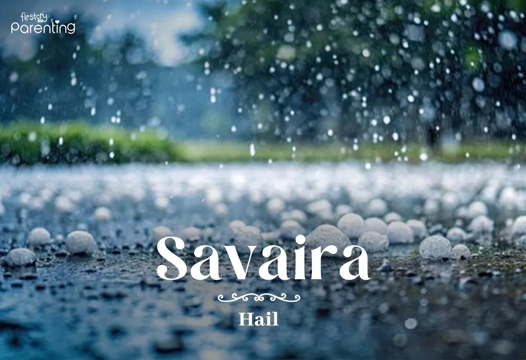 Savaira - Brazilian Last Names or Surnames