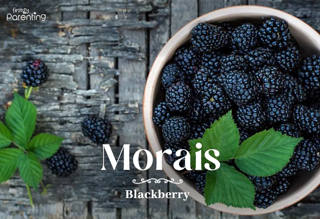 Morais - Brazilian Last Names or Surnames