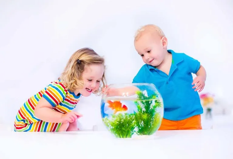Amazing Fish Facts for Kids