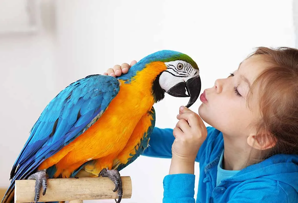OTHER INTERESTING BIRD FACTS FOR KIDS