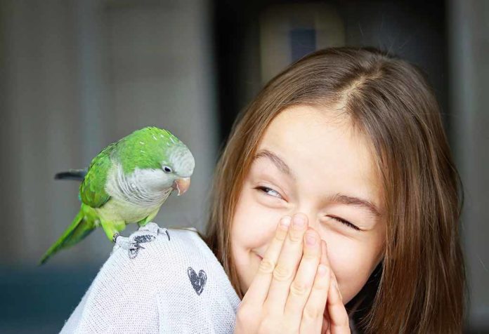 FUN & AMAZING BIRD FACTS FOR KIDS
