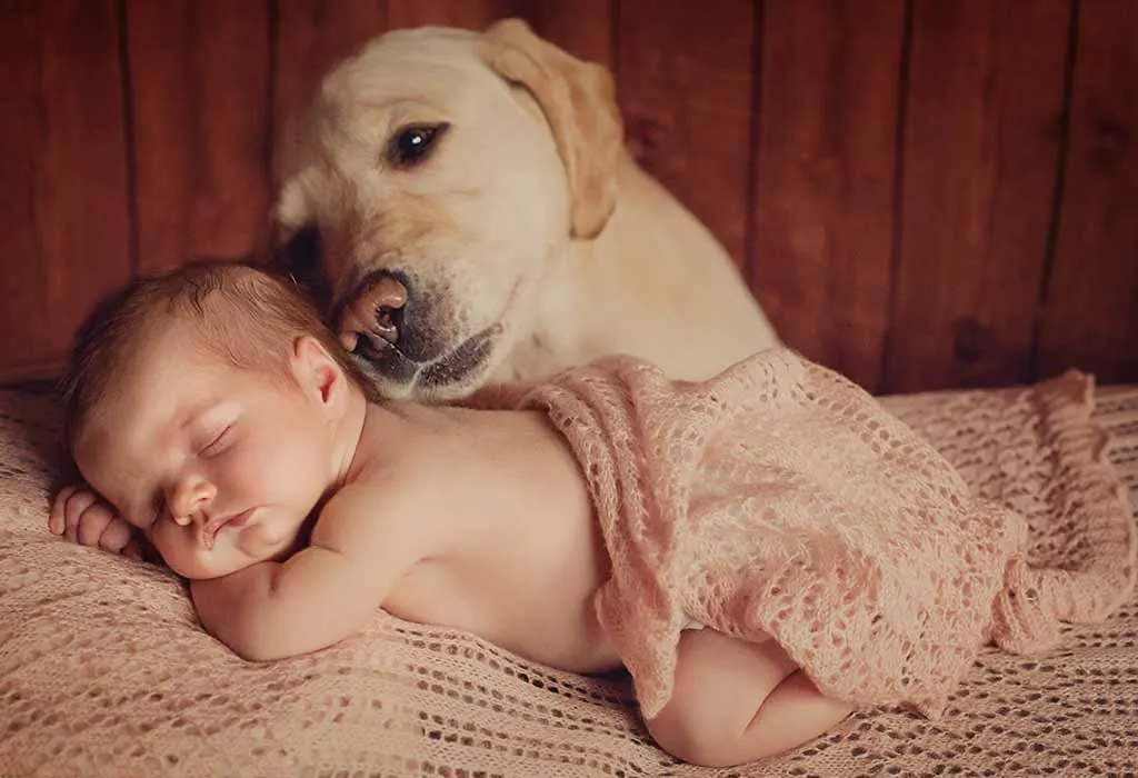 Dog Allergies in Babies - Reasons, Signs and Treatment