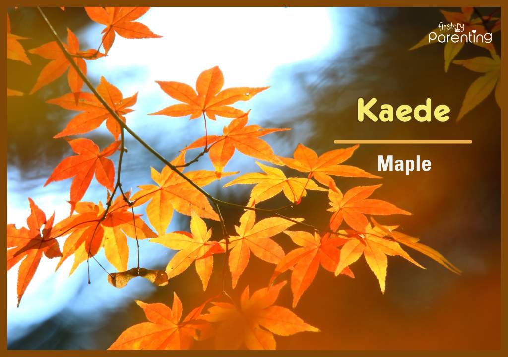 Kaede - Best Druid Names With Meanings