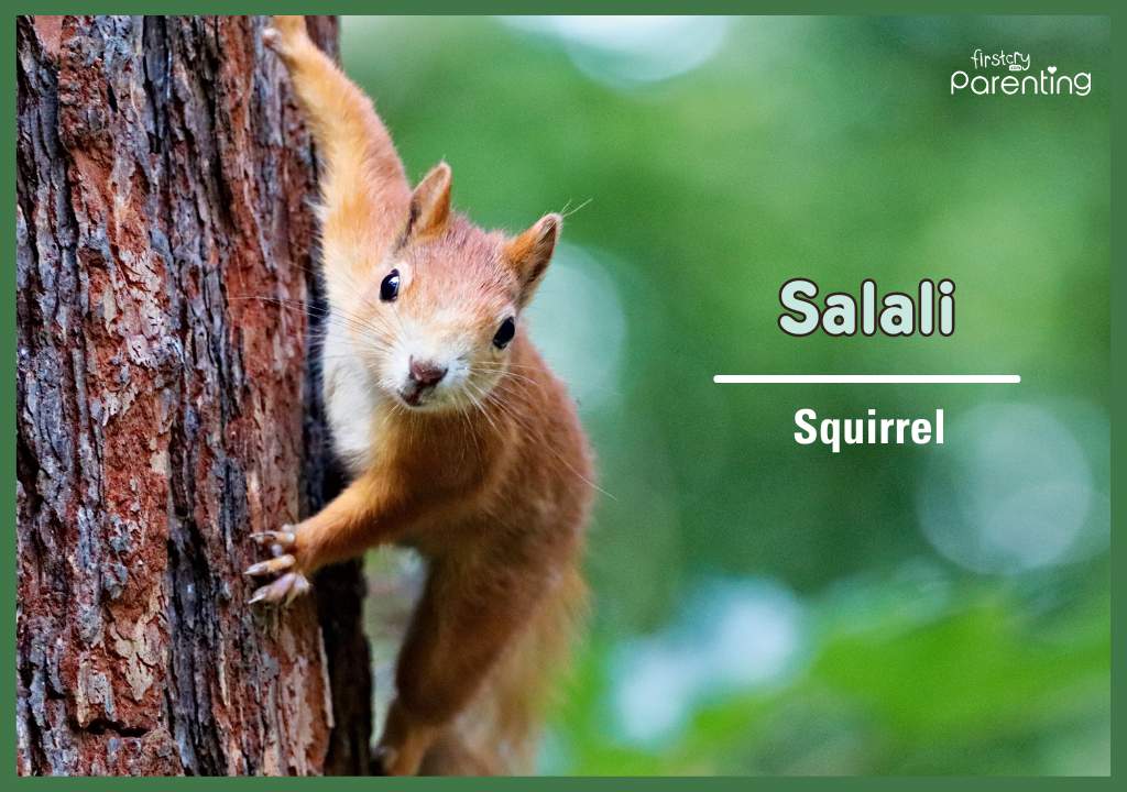 Salali - Best Druid Names With Meanings