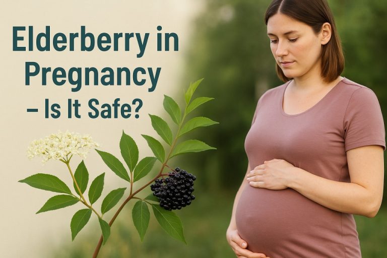 Elderberry in Pregnancy - Is It Safe?