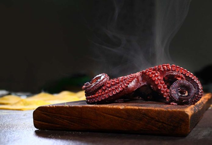 is-it-safe-to-eat-octopus-during-pregnancy