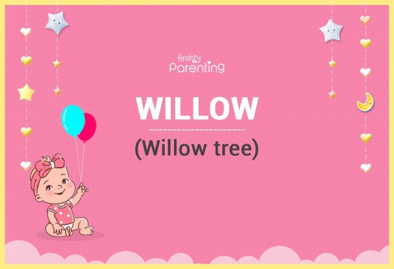 Willow Name Meaning and Origin
