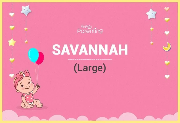 Savannah Name Meaning and Origin