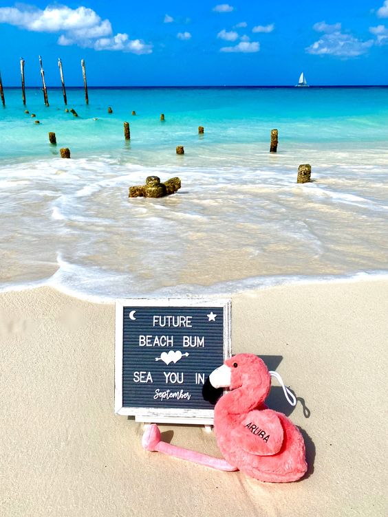 Beach Baby Letterboard Announcement&nbsp;