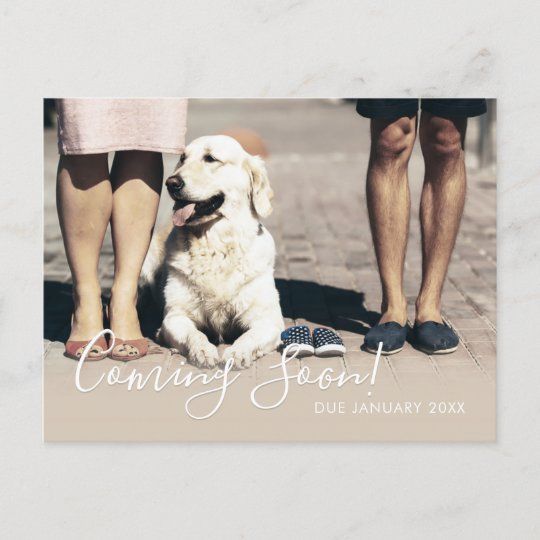 Pet Pregnancy Announcement&nbsp;