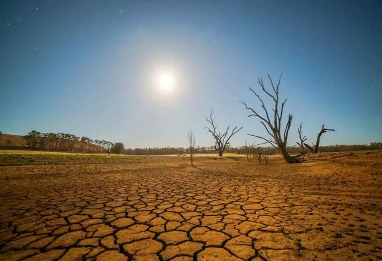 Amazing Facts and Information About Drought for Kids