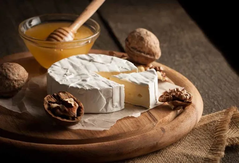 Brie Cheese During Pregnancy - Is It Safe?