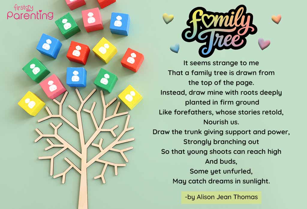 Family Tree Family Tree