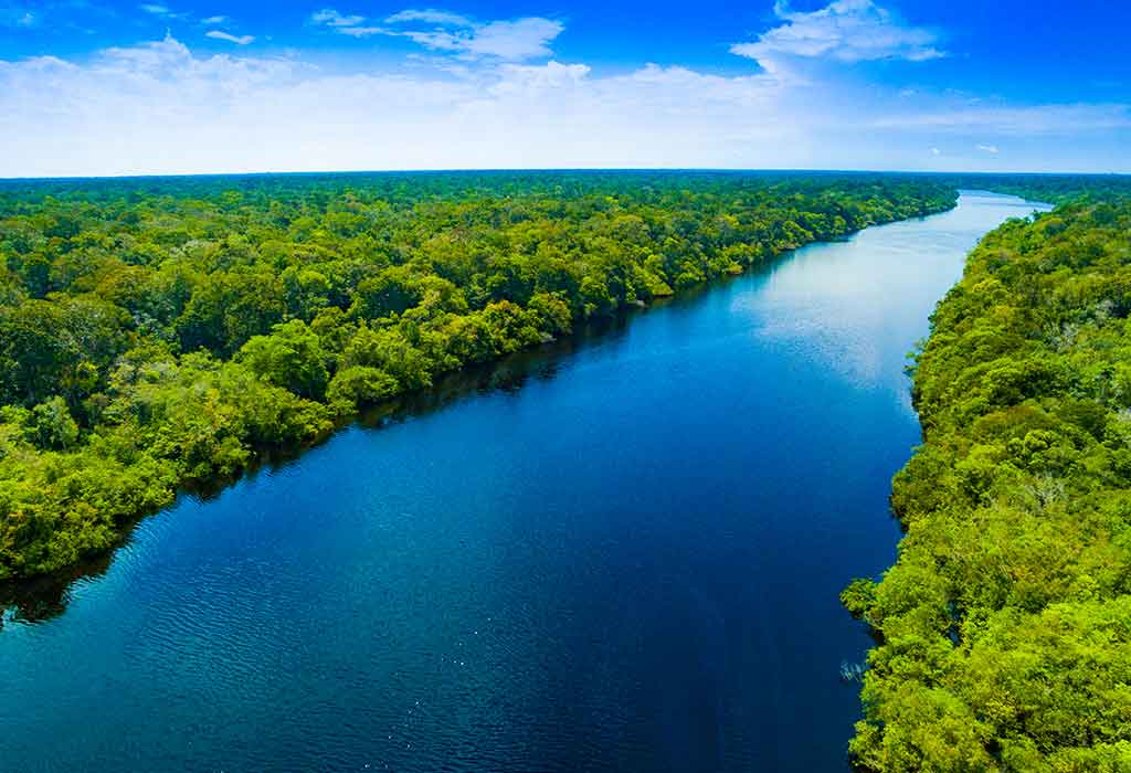 Fun Facts About the Amazon River for Children