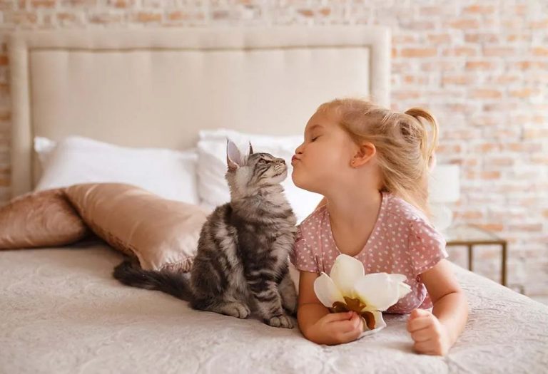 Top 25 Poems on Cat for Kids