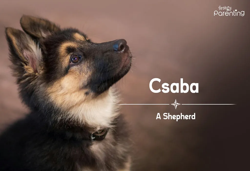 Csaba - Names That Mean Traveler, Wanderer Or Seeker For Boys & Girls Csaba - Names That Mean Traveler, Wanderer Or Seeker For Boys & Girls