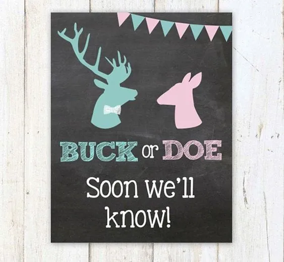 Buck or doe