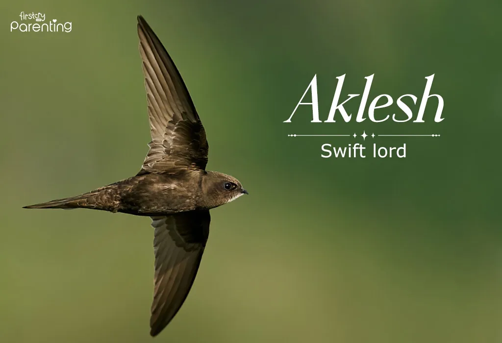 Aklesh - Names That Mean Fast and Quick For Boys & Girls